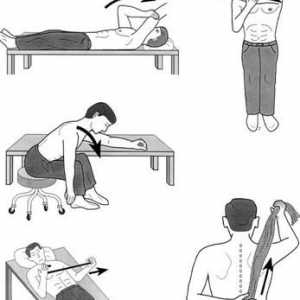 Periartrita humerusului: un set de exerciții Popova, gimnastică terapeutică