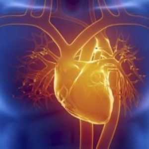 Primul ajutor pentru infarctul miocardic. Semnele unui atac de cord