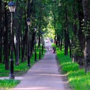 Parcul Petrovsky și atracțiile sale