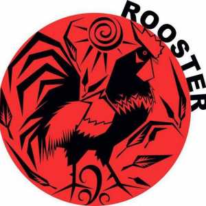 Rooster-Gemini - natură violentă, atractivă și de neînțeles