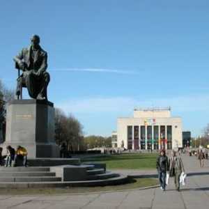 Piața Pioneer din Sankt Petersburg. Patinoar și patinoar pe Piața Pionierului
