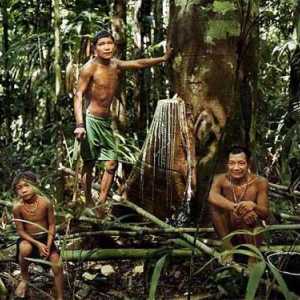 Piracha este un trib care trăiește în armonie cu natura