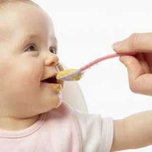 Nutriție pentru copii în 11 luni: dietă, rețete și meniuri. Copil la vârsta de 11 luni: dezvoltare,…