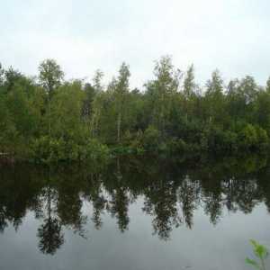 Planul povestirii `Lacul Vasyutkino`. Instrucțiuni pentru supraviețuire în taiga