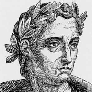 Pliny cel Tânăr: biografie și patrimoniu