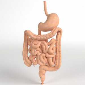 Pneumatizarea intestinelor - ce este și cum să o tratezi? Simptomele pneumoniei intestinale