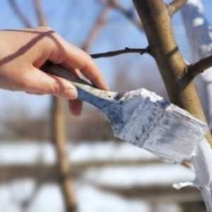 Căderea pomilor fructiferi în toamnă este o condiție prealabilă pentru un izvor cald de iarnă și…