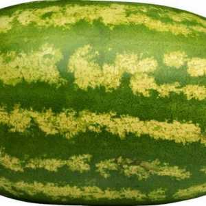 De ce este pepene verde o boabe și cât de adevărat este?