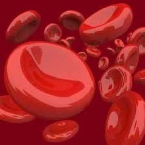 De ce este hemoglobina ridicată la femei și ce înseamnă aceasta