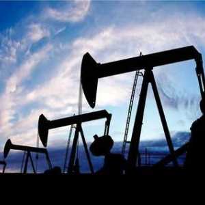 De ce petrolul devine mai ieftin? Prognoza prețului petrolului