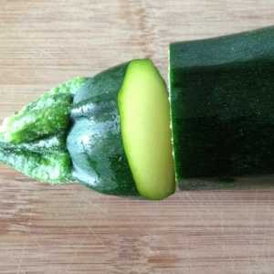 De ce zucchini amar: principalele motive