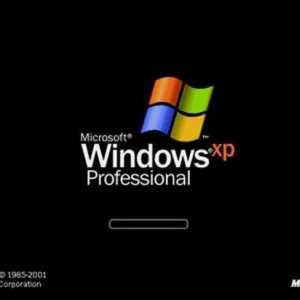 Suport pentru Windows XP: caracteristici și cerințe