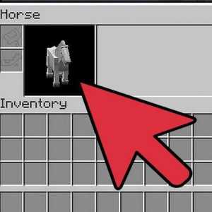Detalii despre cum să antrenezi un cal în "Maynkraft"