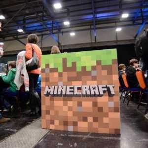 Detalii despre cum să faci o carieră în "Minecraft"