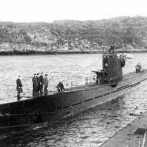 Submarinul "S-56" din Vladivostok: istorie, fotografie