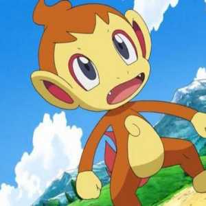 Pokemon Chimchar: toate informațiile despre animalele de companie