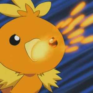 Pokemon Torso: caracteristici de un fel și evoluție
