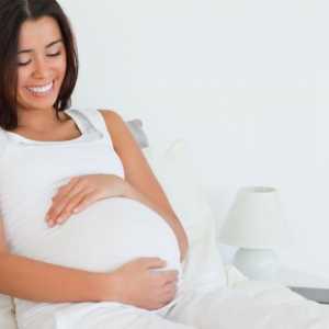 Cât de utilă este ridicheza în timpul sarcinii?