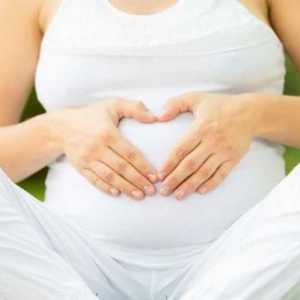 Gimnastica utila pentru femei gravide (1 termen). Ce gimnastică puteți face însărcinată?