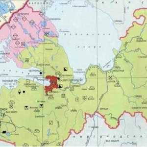 Mineralele din regiunea Leningrad: exploatate activ și promițătoare