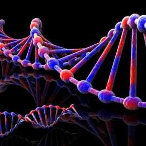 Dominația completă și alte tipuri de interacțiune a genei