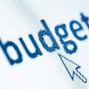 Conceptul de buget, esența sa. Articole din buget. Bugetul de stat și local