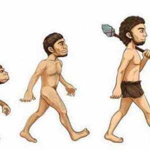 Conceptul de "evoluție" în filosofie