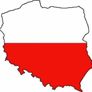 Ambasada Poloniei la Moscova: activități și servicii