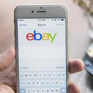 EBay distribuitori în Rusia și comentarii despre ele