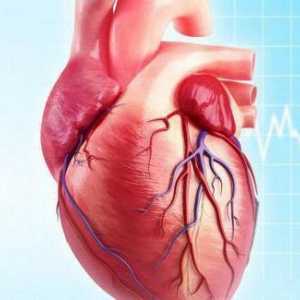 Cardioscleroză postmiocardică: cauze, simptome și tratament