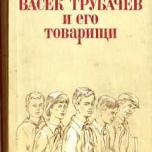 Povestea lui V. Oseeva "Vasek Trubachev și tovarășii lui": un rezumat, personaje
