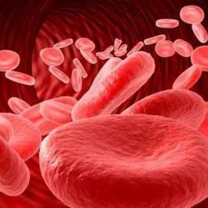 Elemente crescute ale globulelor roșii și leucocite în urină: cauze