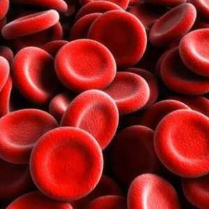 Elemente hematite crescute în sânge sau urină: principalele cauze