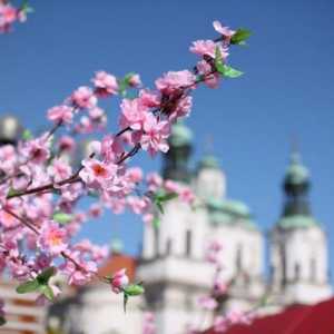 Praga în luna mai: vremea și recenziile turiștilor. Ce să vezi în Praga în mai?