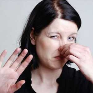 Este adevărat că forma nasului afectează în mod direct succesul unei persoane?