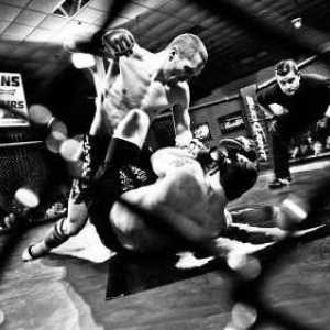 Reguli MMA: lupte fără reguli, sau arte marțiale combinate combinate