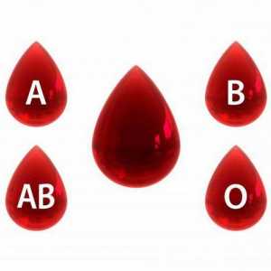 Reguli pentru determinarea tipului de sânge în conformitate cu sistemul ABO