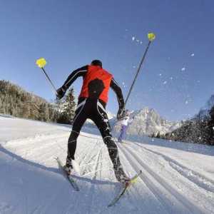 Pregătirea corectă a schiurilor pentru competiții
