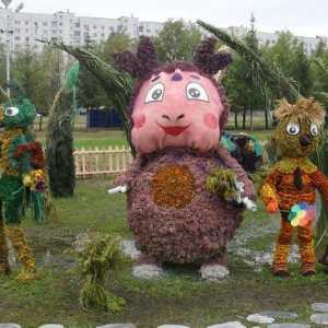 Festivalul de flori din Naberezhnye Chelny - extravaganta magiei solemne