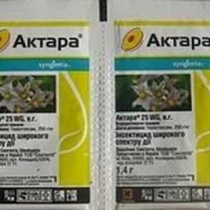 Medicamentul "Aktar". Instrucțiuni de utilizare