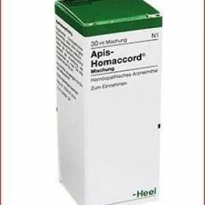 Medicamentul "Apis", homeopatia: instrucțiuni, indicații