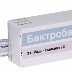 Medicamentul "Bactroban". Analoguri despre "Bactroban" și comentarii despre ele