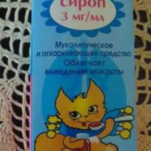 Medicamentul "Bronhorus" (sirop): instrucțiuni pentru utilizare pentru copii, compoziție,…