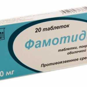 Medicamentul "Famotidine": indicații pentru utilizare, instrucțiuni, descriere și recenzii