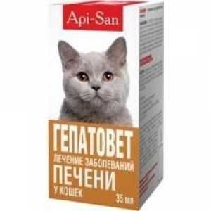 Medicamentul "Hepatovet" pentru pisici: instrucțiuni și doze