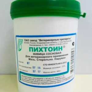 Medicamentul "Pikhtoin" (unguent) pentru animale: instrucțiuni de utilizare