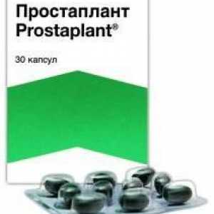 Preparatul "Prostaplant": instrucțiunea privind aplicarea, răspunsurile
