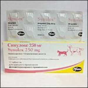 Medicamentul "Sinulox" (pentru pisici). Caracteristicile aplicației