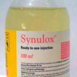 Medicamentul "Sinulox" (pentru câini). instrucție