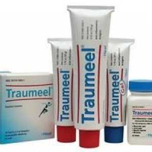 Medicamentul "Traumeel" (unguent). Instrucțiuni de utilizare